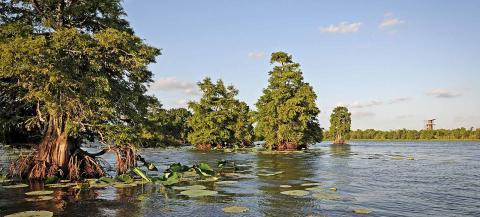 Sheldon Lake State Park & 环境学习中心